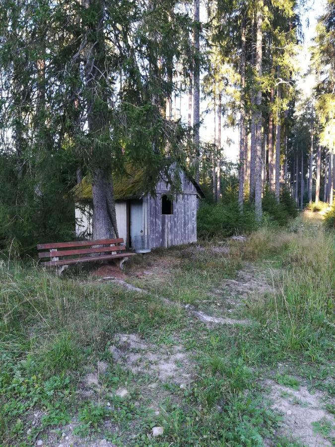 Ferienwohnung Hasenfratz Löffingen Exterior foto