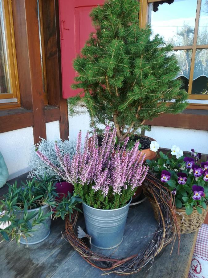 Ferienwohnung Hasenfratz Löffingen Exterior foto